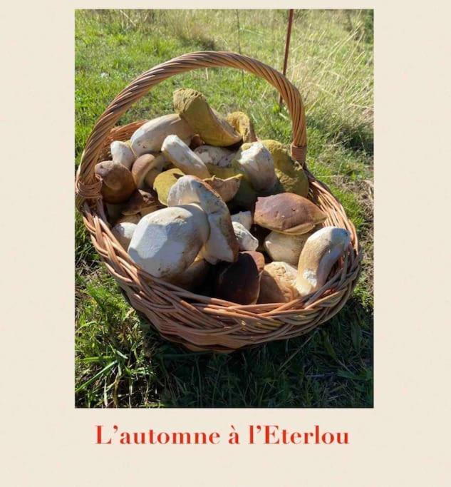 Villa L'Eterlou Authentique Partie De Corps De Ferme 10Pers. Targassonne Esterno foto